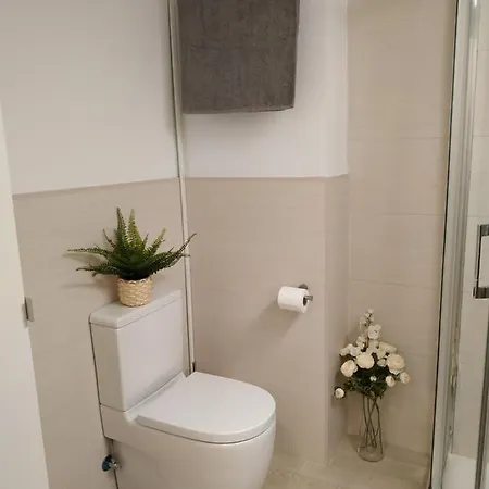 Apartamento En El Centro A 3 Minutos De Calle Larios In The City Center, 3 Minutes From Larios Street *